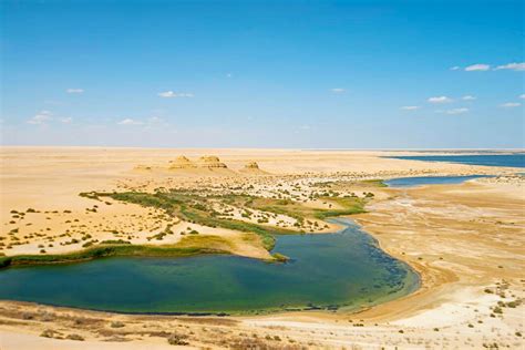 Faiyum .
